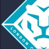 London City Lionesses logo - Similar company to Billericay Town Fc Women & Girls