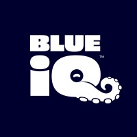 BLUEiQ logo - Similar company to Wurq