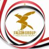 Falcon Group logo - Similar company to Anvil For Security Services
