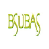 BSUBAS logo - Similar company to Automated Nsw