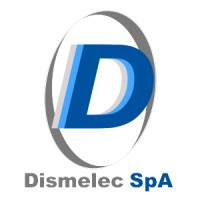 Dismelec SpA logo - Similar company to Msg - Mining Services Group