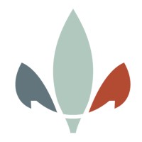 FIDELILIUM logo - Similar company to Cypher Tech Solutions