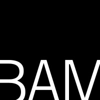 Brooklyn Academy of Music logo - Similar company to New York City Center