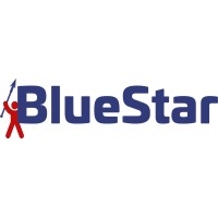 BlueStar Workforce logo - Similar company to 7Oceans Project Services