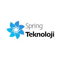 Spring Teknoloji logo - Similar company to Haplab
