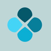 Syrius Soluções em Gestão de Riscos e Tecnologia logo - Similar company to Nextbay Tecnologia