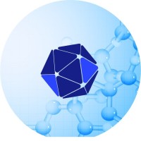 Advanced MSO logo - Similar company to Netwolf Cyber