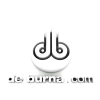 de burna.com logo - Similar company to Burna Sl