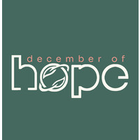 December of Hope logo - Similar company to Bricks Don'T Lie