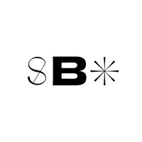 Studio Blask logo - Similar company to Blask Consulting