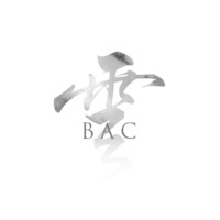 Boundless Artists Collective logo - Similar company to Sochill