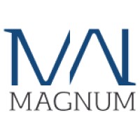 MagnumLda logo - Similar company to Tetraepik