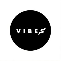 Vibes Studio logo - Similar company to Lmching.Com