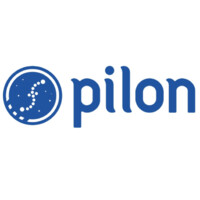 PILON logo - Similar company to Pilon Ltd