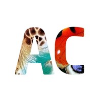 AnimalConcepts logo - Similar company to Open Paws