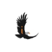 Eaglei logo - Similar company to The Residential Developer Podcast