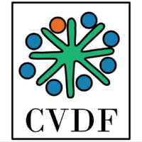 Common Visual Data Foundation (CVDF) logo - Similar company to Emphatiq