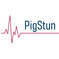 PigStun Project logo - Similar company to Argus.Cv