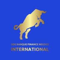 BDE BFNI logo - Similar company to Master Bfni - Banque, Finance Et Négoce International - Université De Bordeaux