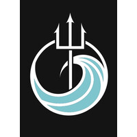 Black Triton Group logo - Similar company to Crescotech.Ai