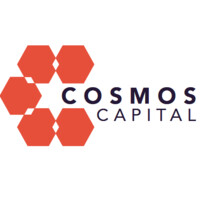 Cosmos Capital Private Limited logo - Similar company to You & Ai