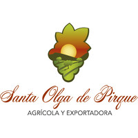 Exportadora Santa Olga de Pirque logo - Similar company to Exportadora Frutexport Limitada
