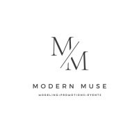 Modern Muse SA logo - Similar company to Ilanga Data