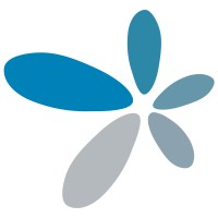 Nemesis Experience Lab logo - Similar company to Arctic Fox Strategy