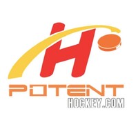 Potent Hockey logo - Similar company to Saltique