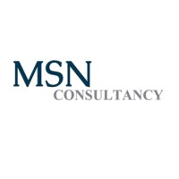 MSN Consultancy logo - Similar company to Msn Consulting, Llc