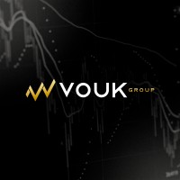 Vouk Group logo - Similar company to Akustika Group
