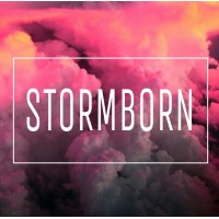 Stormborn logo - Similar company to Premier Agencies