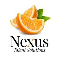 Nexus Talent Solutions logo - Similar company to Back2Credit