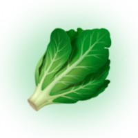 Insalata di CEO (https://insalata.business/) logo - Similar company to The Red Flower Factory