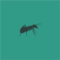 The Smallest Ant logo - Similar company to Luum Studio