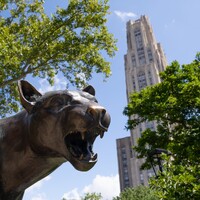 University of Pittsburgh Graduate Studies logo - Similar company to Pitt Faculty Advancement And Leadership Development