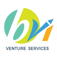 Bvi Venture Services