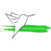 Celerity Consulting logo - Similar company to Celerity Consulting