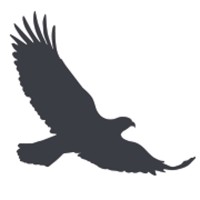 Cetan Funds logo - Similar company to Hellen