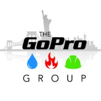 Go Pro Restoration & Maintenance logo - Similar company to Ny Vision Group L Ocli Vision