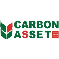 Carbon Asset GmbH logo - Similar company to Steinbauer Performance - Uk