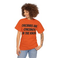 Chicanas and Chicanos In The Know logo - Similar company to Community Healing Network
