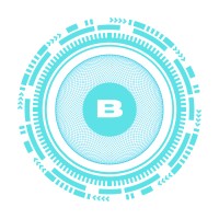 BotsetAI logo - Similar company to Aemeyo Bv