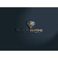Black Diamond Evolution LLC logo - Similar company to The Employment Guide, Llc