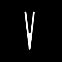 VSSL logo - Similar company to Soundvision Technologies