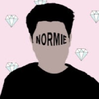 Normieproject