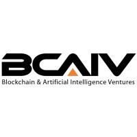 BCAIV - BlockChain & AI Ventures logo - Similar company to Beyond Pixels