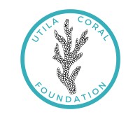 Utila Coral Foundation logo - Similar company to Bluecourses