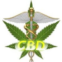 CBD OIL BENEFITS and Life Style Opportunities logo - Similar company to Cbd