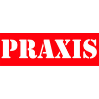 Praxis Institute for Participatory Practices logo - Similar company to Chetana